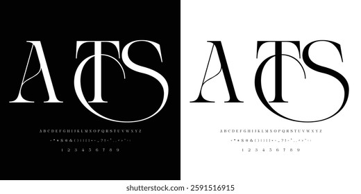 Alphabet letters font, Punctuation, numbers, Minimal Fashion Designs, Logos, Typography, etc. Modern serif fonts are decorative vintage concepts. vector illustration