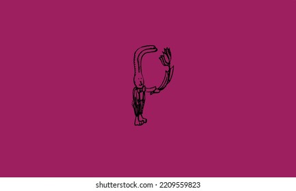 Alphabet Letters Initials Monogram Logo Prabbitrabbit Stock Vector ...