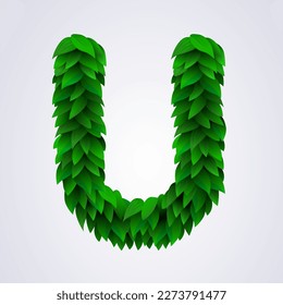 Alphabet letters made from fresh green leafs. Letter U. Vector illustration