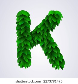 Alphabet letters made from fresh green leafs. Letter K. Vector illustration