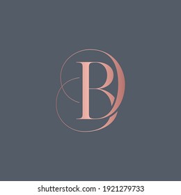 alphabet letters monogram icon logo BD or DB