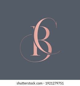 Alphabet Letters Monogram Icon Logo BC Or CB