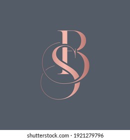 alphabet letters monogram icon logo BS or SB