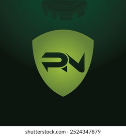 letras do alfabeto logotipo do monograma PN