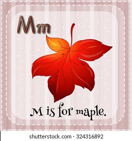 Alphabet M is for maple illustration