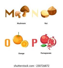 Alphabet M-P letter.mushroom,nut,orange,pomegranate.vector