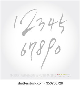 Alphabet & number / Hand drawn calligraphy - vector