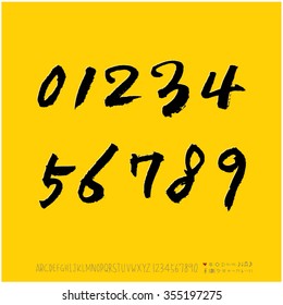 Alphabet & number / Hand drawn calligraphy - vector