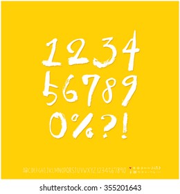 Alphabet & number / Hand drawn calligraphy - vector