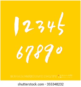 Alphabet & number / Hand drawn calligraphy - vector