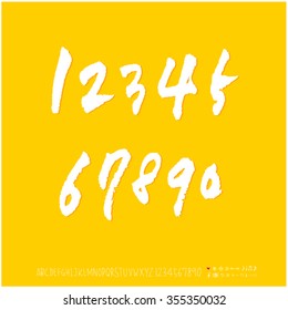 Alphabet & number / Hand drawn calligraphy - vector