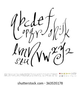 Alphabet & number / Hand drawn calligraphy - vector