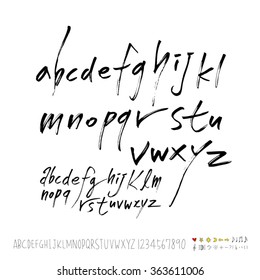 Alphabet & number / Hand drawn calligraphy - vector