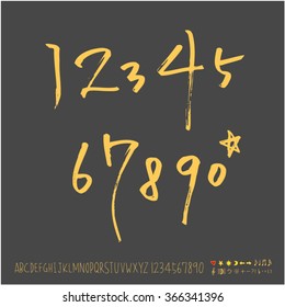 Alphabet & number / Hand drawn calligraphy - vector