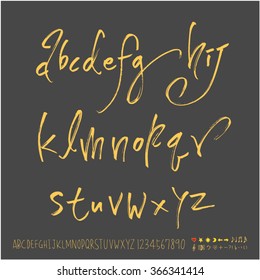 Alphabet & number / Hand drawn calligraphy - vector