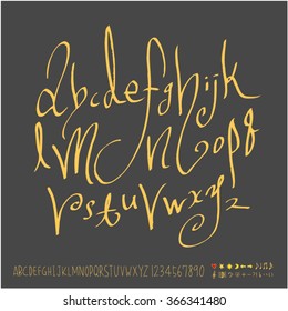 Alphabet & number / Hand drawn calligraphy - vector