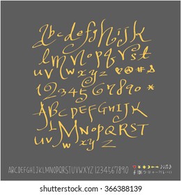 Alphabet & number / Hand drawn calligraphy - vector