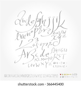 Alphabet & number / Hand drawn calligraphy - vector