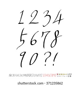 Alphabet & number / Hand drawn calligraphy - vector