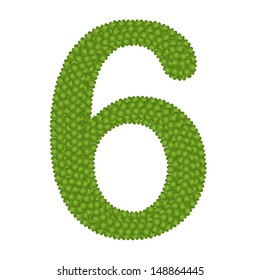 Alphabet Numbers, Four Leaf Clover with Arabic Numbers Six Isolated on White Background 