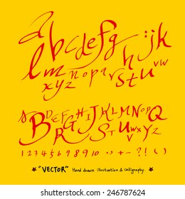 alphabet and numbers - hand drawn in vector / Handwritten alphabet