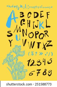 alphabet and numbers hand drawn in vector  Handwritten alphabet