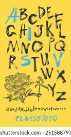 alphabet and numbers hand drawn in vector  Handwritten alphabet