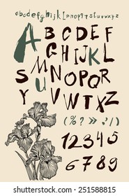 alphabet and numbers hand drawn in vector  Handwritten alphabet