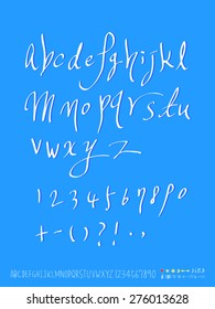 alphabet and numbers / Handwritten alphabet - vector