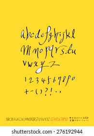 alphabet and numbers / Handwritten alphabet - vector