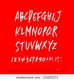 alphabet and numbers / Handwritten alphabet - vector