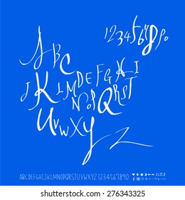 alphabet and numbers / Handwritten alphabet - vector
