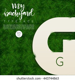 Alphabet On Grass Background : Vector Illustration