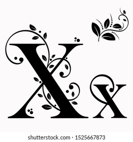 Alphabet ornament vector vintage, Letter X upper and lower case with leaves vector. Decoration vintage for invites card and other concept ideas.  Illustration alphabet 