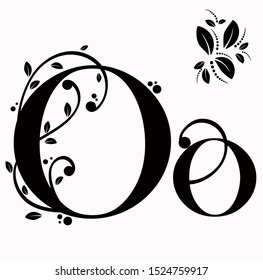 Alphabet with ornaments vector vintage, Letter O upper and lower case with leaves vector. Decoration vintage for invites card and other concept ideas.  Illustration alphabet 