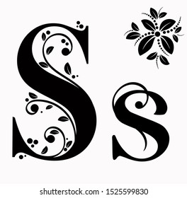 Alphabet with ornaments vector vintage, Letter S upper and lower case with leaves vector. Decoration vintage for invites card and other concept ideas.  Illustration alphabet 