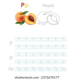 Alphabet P for Peach handwriting trace practice worksheet for preschool kids learning how to write colorful printable version. Vector Illustration