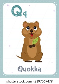 Tarjeta de flash imprimible de alfabeto con letra Q. Caricatura tierno animal de quokka y palabra inglesa en tarjeta de flash para educación infantil. Tarjeta de memoria escolar para niños de kindergarten ilustración vectorial plana.