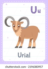 Tarjeta de flash imprimible Alphabet con letra U. Caricatura lindo animal urial y palabra inglesa en tarjeta de flash para la educación de los niños. Tarjeta de memoria escolar para niños de kindergarten ilustración vectorial plana.