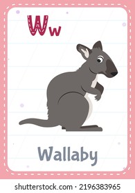 Alphabet Printable Flashcard With Letter W. Cartoon Cute Wallaby Animal And English Word On Flash Card For Children Education. School Memory Card For Kindergarten Kids Flat Vector Illustration.