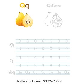 Alphabet Q for Quince handwriting trace practice worksheet for preschool kids learning how to write colorful printable version. Vector Illustration