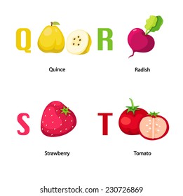 Alphabet Q-T letter.quince,radish,strawberry,tomato.vector