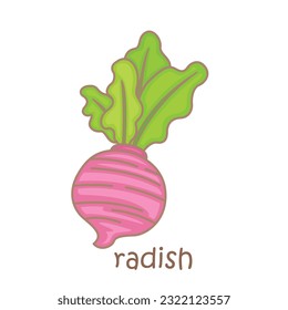 Alphabet R For Radish Vocabulary School Lesson Student Cartoon Illustration Vector Clipart