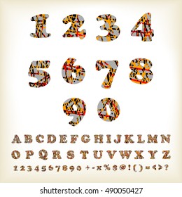 alphabet set design, vector illustration