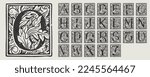 Alphabet set of drop caps in engraved medieval style. Set of dim colored and monochrome square shaped illuminated initials. Perfect for vintage premium identity, Middle Ages posters, luxury packaging.
