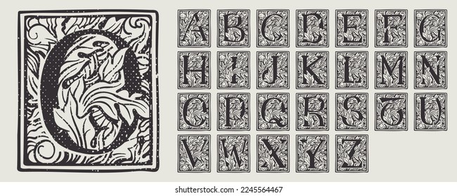 Alphabet set of drop caps in engraved medieval style. Set of dim colored and monochrome square shaped illuminated initials. Perfect for vintage premium identity, Middle Ages posters, luxury packaging. - Shutterstock ID 2245564467