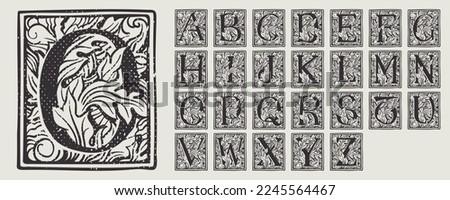 Alphabet set of drop caps in engraved medieval style. Set of dim colored and monochrome square shaped illuminated initials. Perfect for vintage premium identity, Middle Ages posters, luxury packaging. Foto stock © 