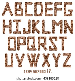 Alphabet. Set of letters. Vector abc.