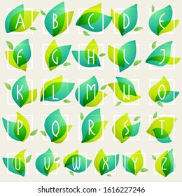 Alphabet in square frames at green leaves watercolor background. Vector ecology typeface for botanical labels, floral headlines, recycle posters, organic cards etc.