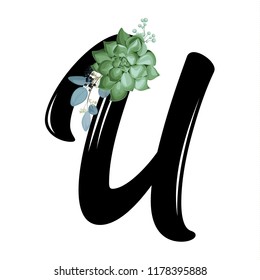 Alphabet with a succulent, U